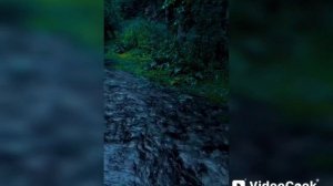 ИИ-"Не перебивай 2". Авторы текста Нюша и я.Музыка и исполнение ИИ