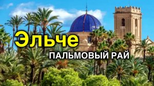 Elche - Город Пальм🌴Секретное место в Испании/Пальма императрицы Сисси/Европейский Пальмовый Лес