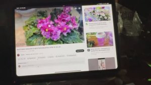 Будни в деревне.Фиалки.Комнатные цветы.Сходила к мастеру.Готовлю .