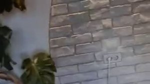 декоративная штукатурка мастер класс ои Макса г Ростов.