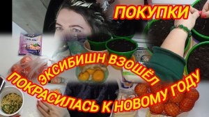 ПОКРАСИЛАСЬ К НОВОМУ ГОДУ. ЭКСИБИШН ВЗОШЁЛ. ПОКУПКИ С 3Х РАЗ