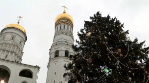 На Соборной площади Кремля украсили главную новогоднюю елку России.