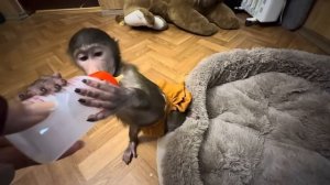 Папа Влад решил отдохнуть , но у Анфисы другие планы на вечер)))