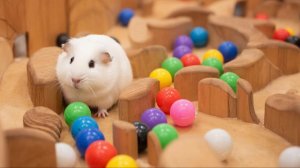 ПРОСТО ВИДЕО ЗАЛИПАЛКА АСМР