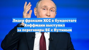 Лидер фракции ХСС в бундестаге Хоффманн призвал ЕС к переговорам с Путиным