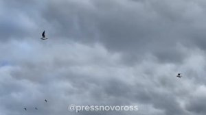 Новороссийск постепенно погружается в атмосферу приближающегося Нового года