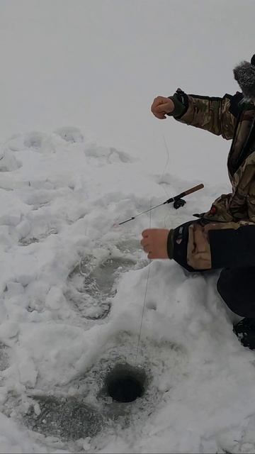 БЕГОМ К УДОЧКЕ смотреть онлайн