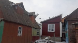 Николаевские голуби На крыше 23.12.25 г