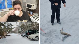 Наша поездка на рыбалку/ Хороший улов/ Утро/ Кофе/ Мою плиту/