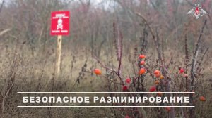 Разминирование с воздуха: операторы БПЛА и сапёры действуют как единая команда