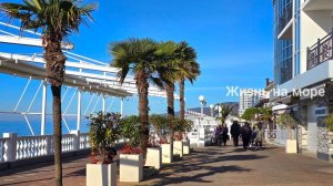 В Лазаревской после оживленного Сочи штиль и покой, зимнее умиротворение