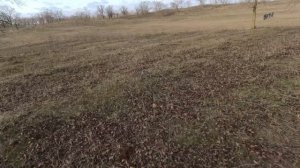 терекли-мектебский лес.mp4