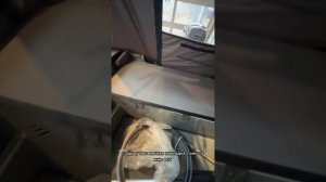 Обзор моторной лодки SWIMMER 400Z с ходовым тентом