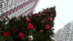 Журналисты телеканала «СвоёТВ» узнали, что мечтают получить на Новый год ставропольцы