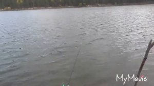 Рыбалка на сельском пруду