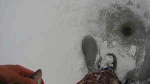 Ловля ротана на озере. Рыбалка на окуня .Зимняя рыбалка 2025