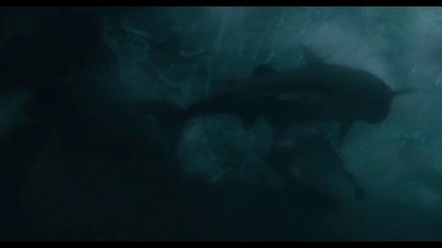 Аквариум - Мёртвые матросы не спят