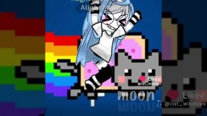 котик Лега🌹🌹🌹