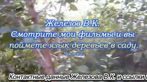 Железов В.К. Смотрите мои фильмы и вы поймете язык деревьев в саду. Часть 2.
