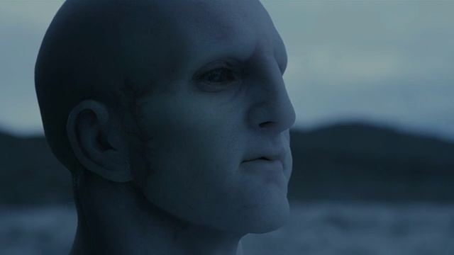 Мой сумасшедший мир