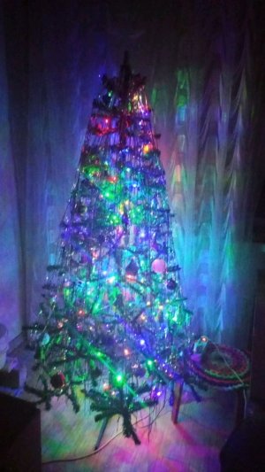 школьный стрим