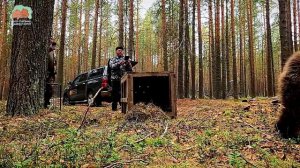 Центр спасения медвежат-сирот подвел итоги выпускного сезона 2025 года