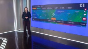 Стало известно, какая погода будет в Ярославской области в новогоднюю ночь