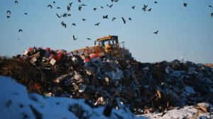 Правительство и парламент готовят меры по ужесточению ответственности для игроков ТКО