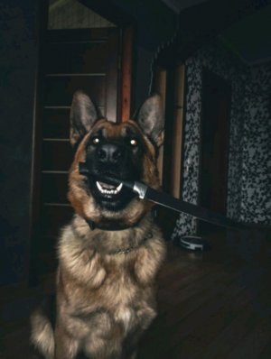 общаюсь с вами