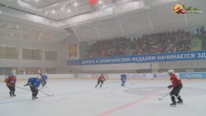 В Серпухове сыграли в хоккей артисты театра, кино и звезды эстрады