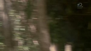 Голые и напуганные 7 сезон 3 серия (реалити-шоу, 2017)