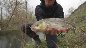 В ЭТОМ РУЧЬЕ КЛЮЮТ КИЛОГРАММОВЫЕ РЫБИНЫ. Рыбалка на спиннинг 2025