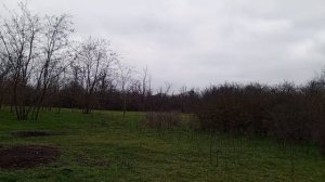 Ходила в гости по делам ,мне пришел на карточку подарок