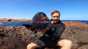 Экзотическая рыбалка на острове Ганнибала.