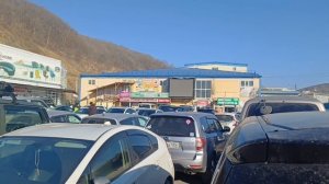 FREED PLUS ,готовлюсь в перегон