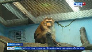 "Вести. Сахалин. Курилы". 22 декабря 2025 года