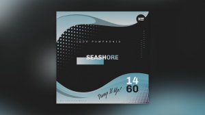 Igor Pumphonia - Seashore — премьера сингла 17.01.2026 (Indie Dance, Nu Disco / Disco, Funk / Soul)