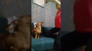 команды с Жорой