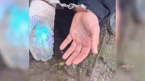 Ирина Волк: Ликвидирован канал поставки гашиша из стран Евросоюза в Россию транзитом через Беларусь