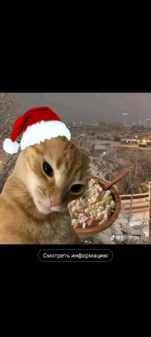 хочу новый год