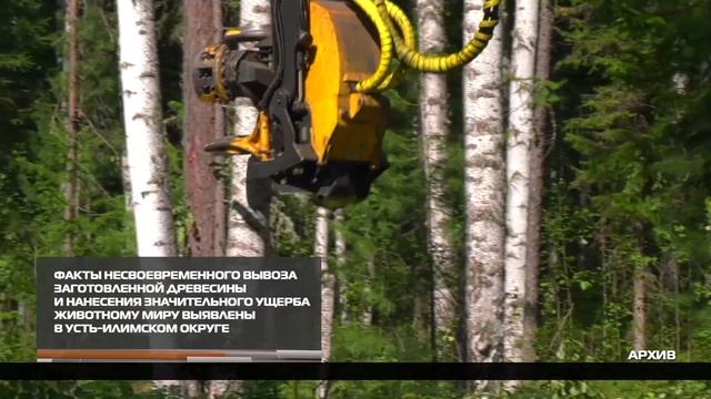 Штраф за нанесение значительного ущерба животному миру 22-12-2025 смотреть онлайн