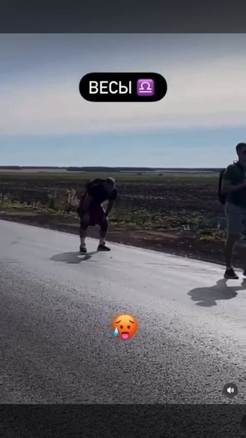 Знаки зодиака в походе смотреть онлайн