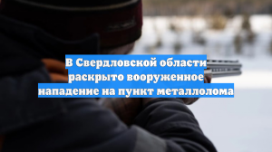В Свердловской области раскрыто вооруженное нападение на пункт металлолома