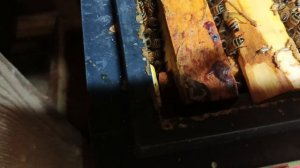 23.12.25. Месяц зимовки пчел в зимовнике! Что происходит с пчелами?