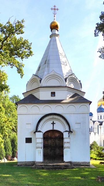 Душевный лекарь#Церковь#shortvideo#shorts#Молитва#Православие смотреть онлайн