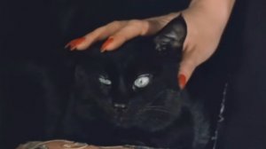 "Мурка" (Кавер-версия (перепевка)) Классика Шансона