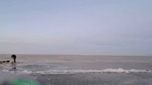 Машина с рыбаками провалилась под лед озера в Приморье, двое погибли