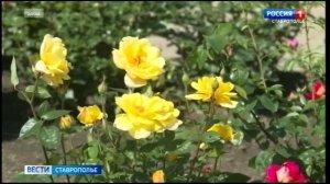 На Ставрополье успешно реализуется программа поддержки местных инициатив