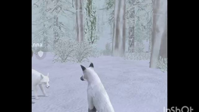 Мини фильм Wildcraft "Альбинос" 2 серия смотреть онлайн