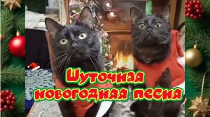Новогодняя шуточная песня! Новогоднее настроение!